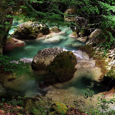 Vila Nekasenea II Garisoain Exteriér fotografie