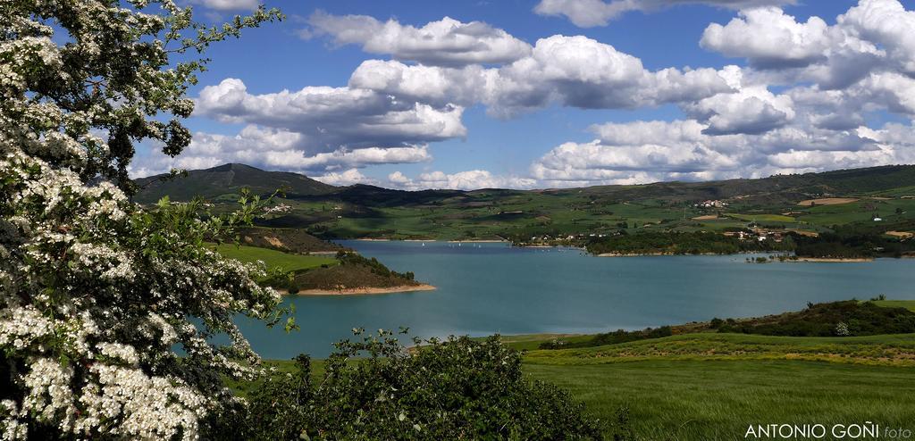 Vila Nekasenea II Garisoain Exteriér fotografie