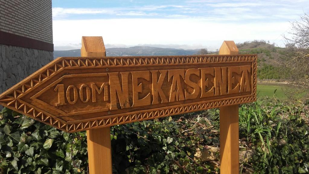 Vila Nekasenea II Garisoain Exteriér fotografie
